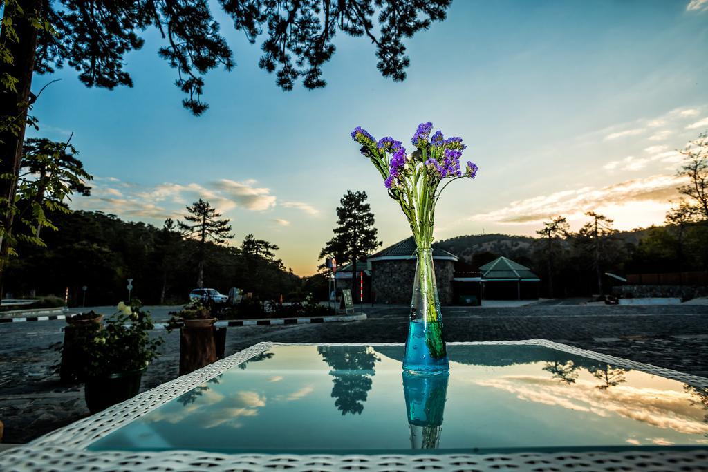 Troodos Hotel & Spa 외부 사진