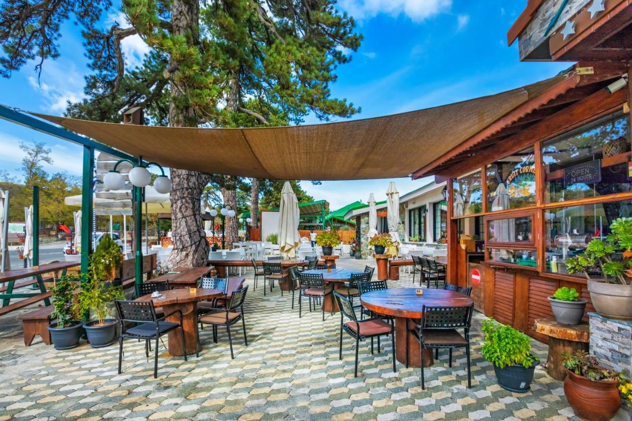 Troodos Hotel & Spa 외부 사진